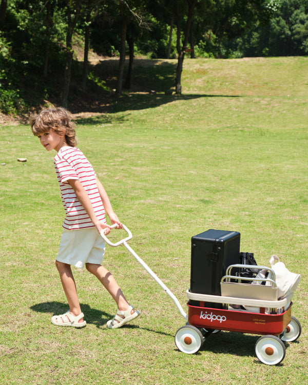 Boy pulling red PULA-Wild wagon filled with items on green lawn, showing product capacity for use page.