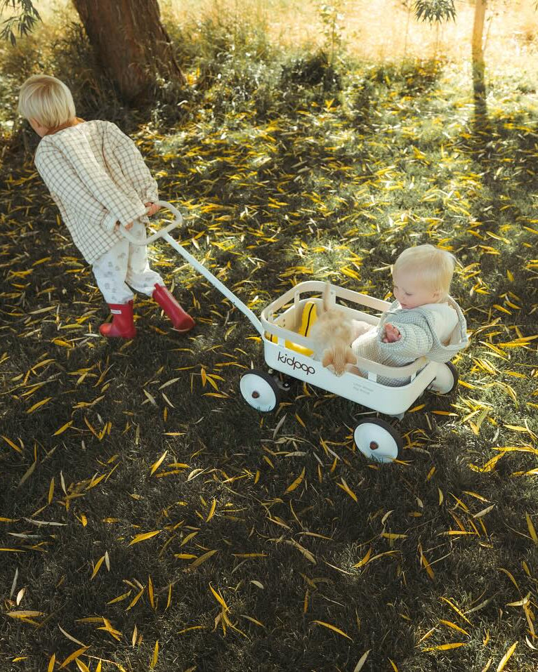 Two children playing with a toy wagon in a field with fallen leaves.