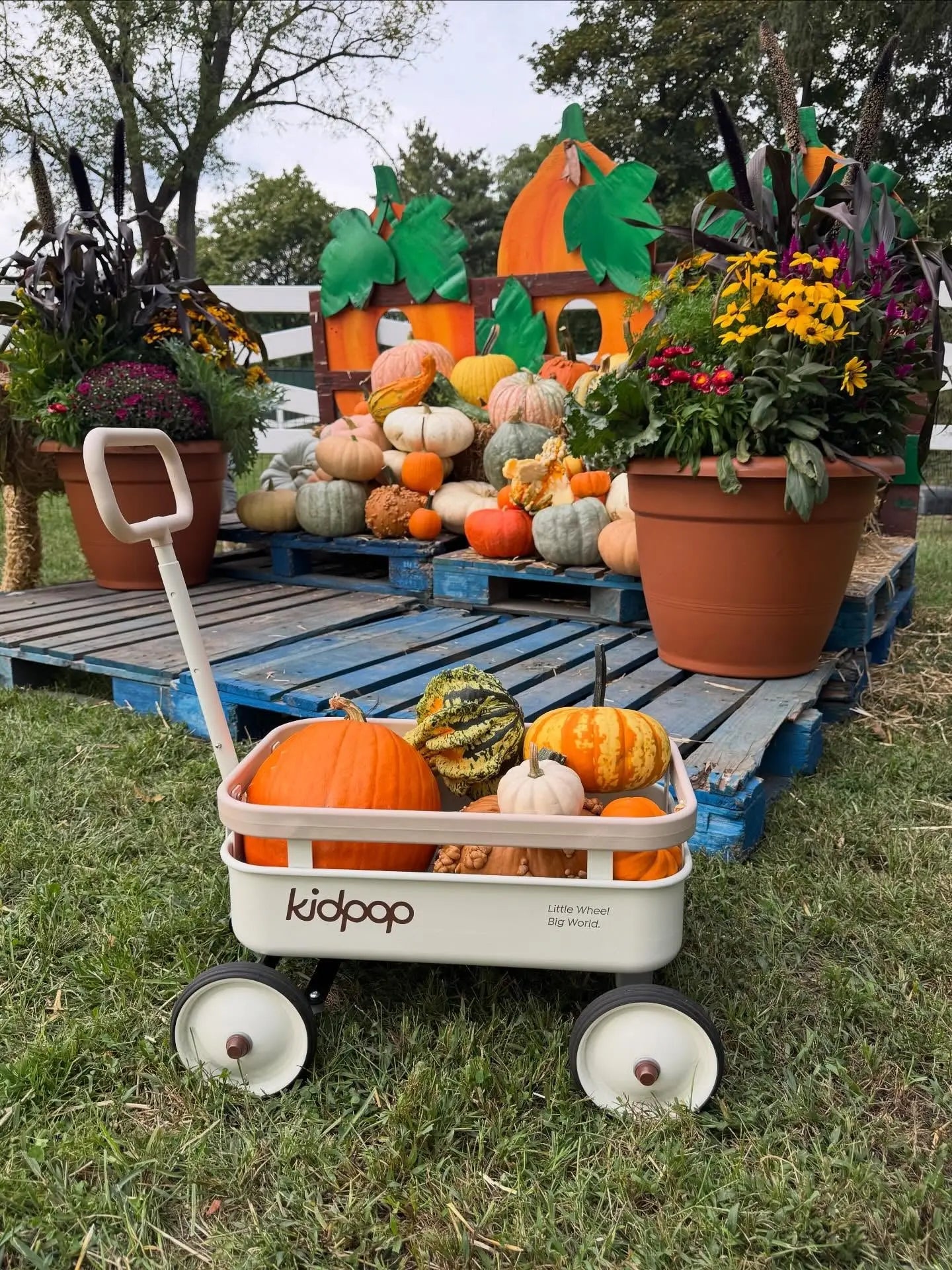 PULA-Wild cream 3-in-1 pull-along wagon for toddlers, filled with pumpkins and gourds, autumn display.