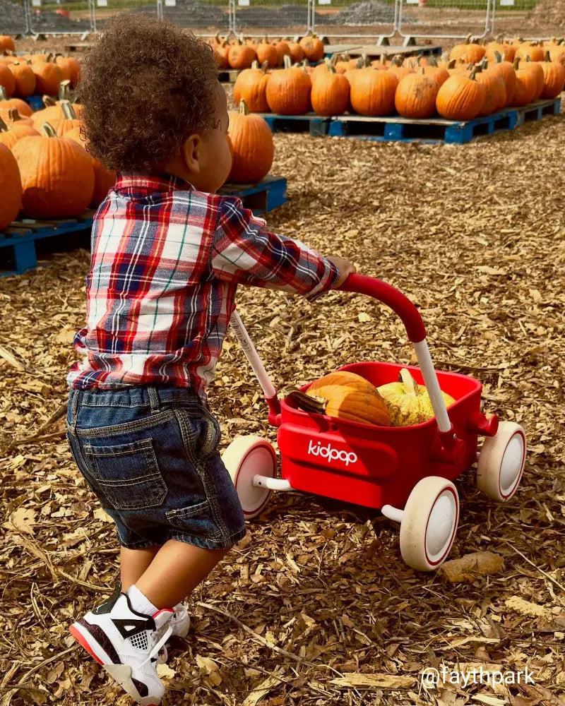 red wagon for kids