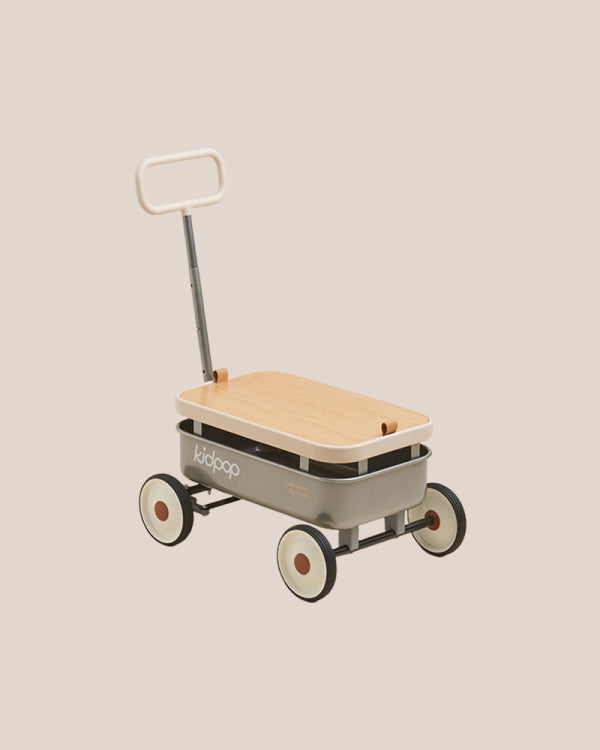 PULA-Wild 3-in-1 Kids' Pull-Along Wagon My Store