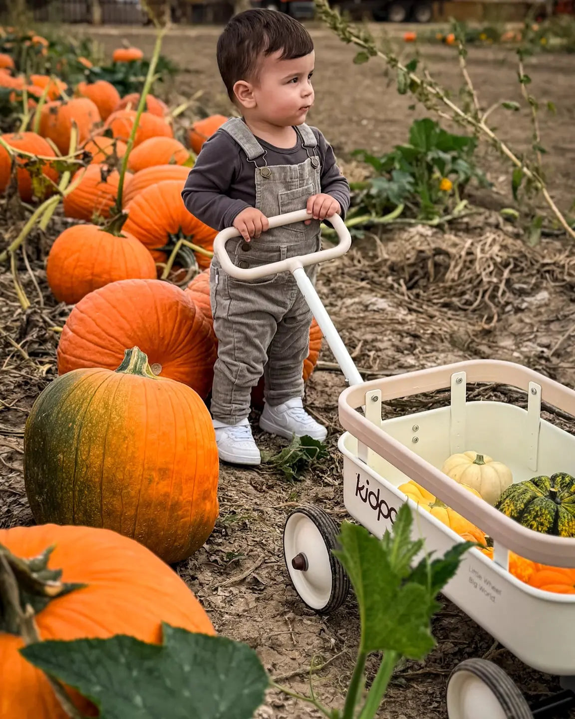 PULA-Wild 3-in-1 Kids' Pull-Along Wagon