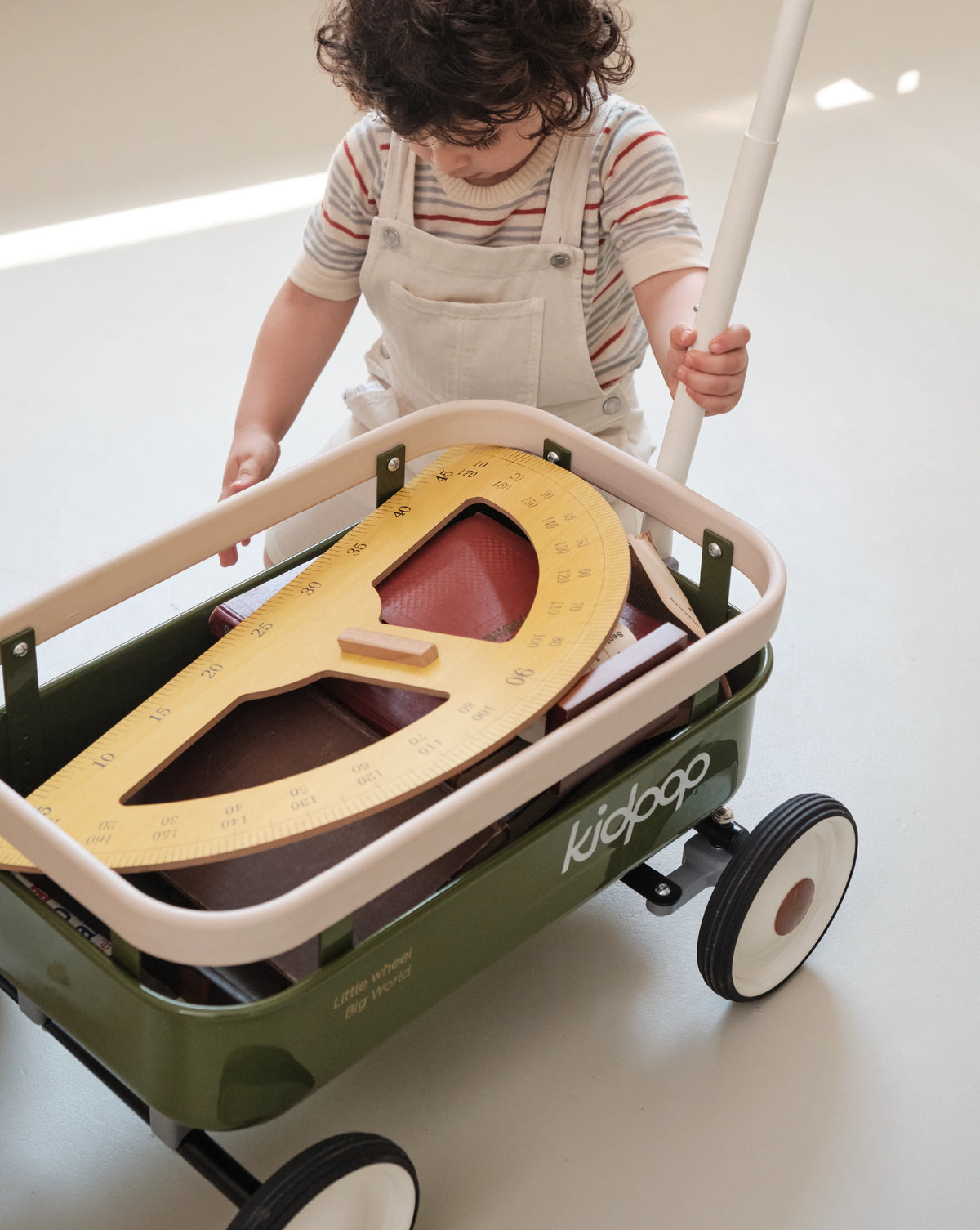 PULA-Wild 3-in-1 Kids' Pull-Along Wagon